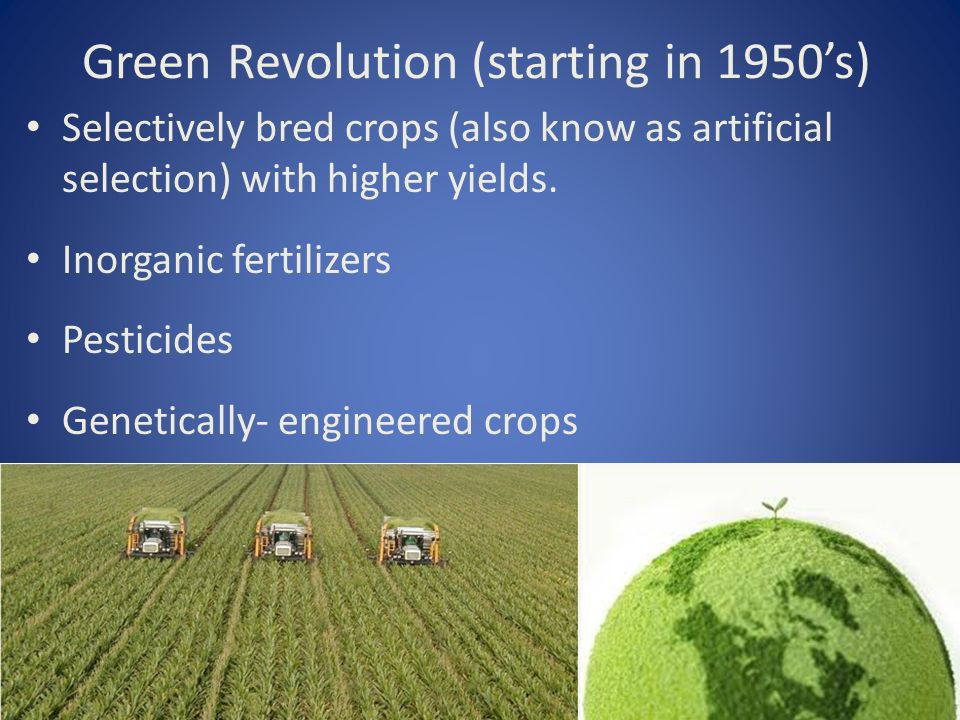 Green Revolution (starting in 1950’s) Selectively bred crops (also know as artificial selection) with higher yields.