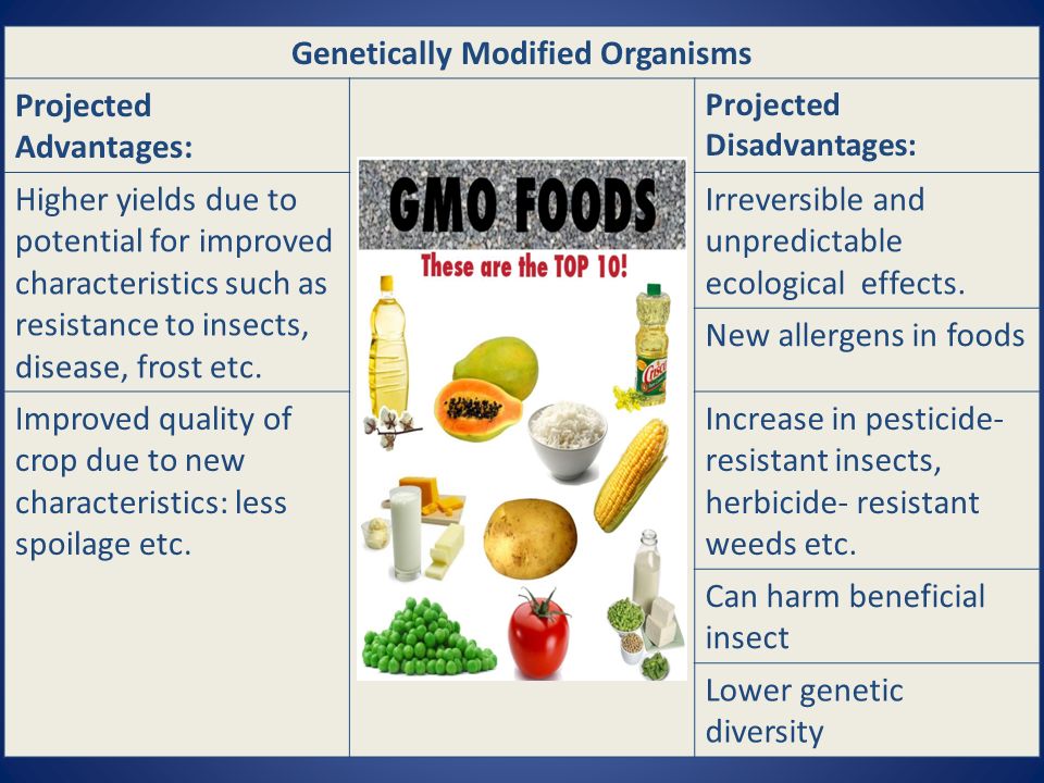 Genetically Modified Organisms Projected Advantages: Projected Disadvantages: Higher yields due to potential for improved characteristics such as resistance to insects, disease, frost etc.