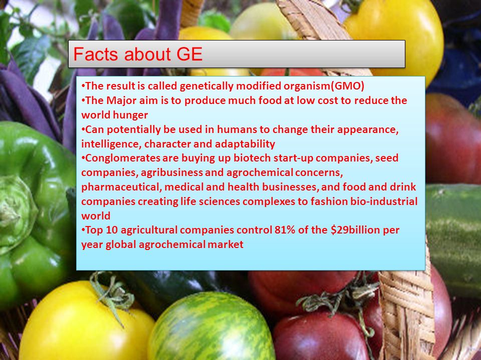 Facts about GE The result is called genetically modified organism(GMO) The Major aim is to produce much food at low cost to reduce the world hunger Can potentially be used in humans to change their appearance, intelligence, character and adaptability Conglomerates are buying up biotech start-up companies, seed companies, agribusiness and agrochemical concerns, pharmaceutical, medical and health businesses, and food and drink companies creating life sciences complexes to fashion bio-industrial world Top 10 agricultural companies control 81% of the $29billion per year global agrochemical market The result is called genetically modified organism(GMO) The Major aim is to produce much food at low cost to reduce the world hunger Can potentially be used in humans to change their appearance, intelligence, character and adaptability Conglomerates are buying up biotech start-up companies, seed companies, agribusiness and agrochemical concerns, pharmaceutical, medical and health businesses, and food and drink companies creating life sciences complexes to fashion bio-industrial world Top 10 agricultural companies control 81% of the $29billion per year global agrochemical market