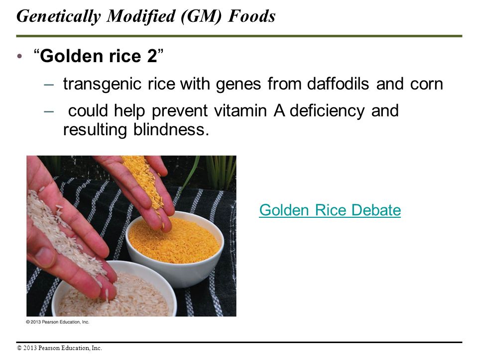 Golden rice 2 –transgenic rice with genes from daffodils and corn – could help prevent vitamin A deficiency and resulting blindness.