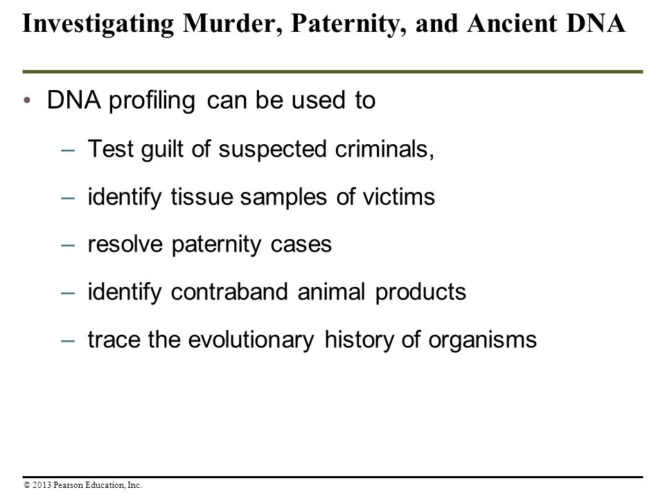 Investigating Murder, Paternity, and Ancient DNA DNA profiling can be used to –Test guilt of suspected criminals, –identify tissue samples of victims –resolve paternity cases –identify contraband animal products –trace the evolutionary history of organisms © 2013 Pearson Education, Inc.