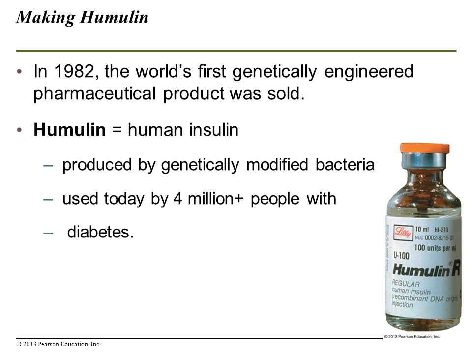 Making Humulin In 1982, the world’s first genetically engineered pharmaceutical product was sold.