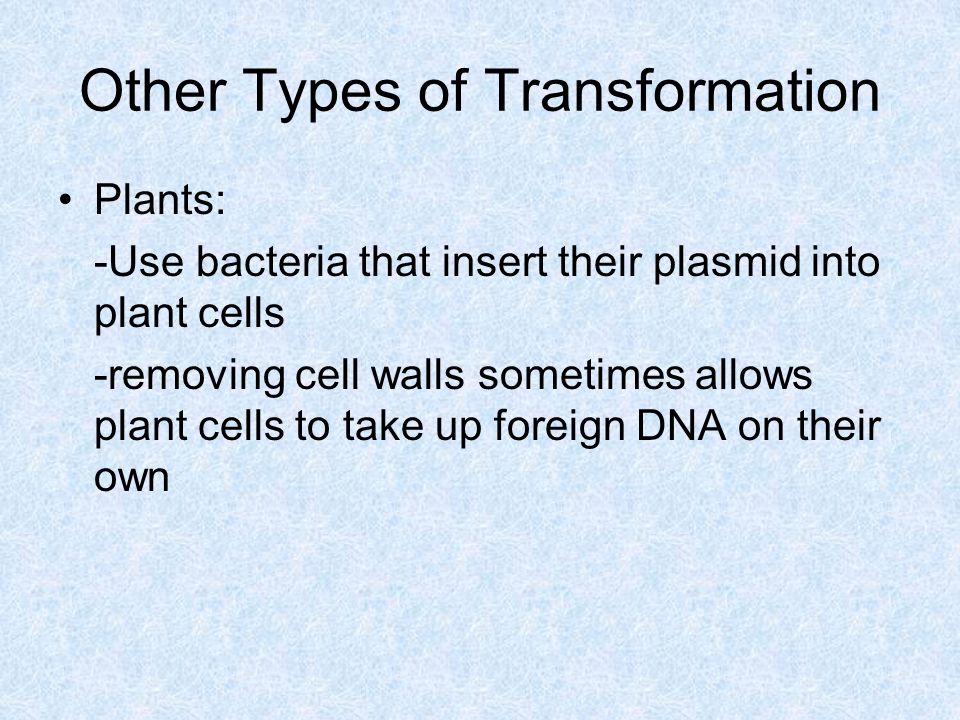 Other Types of Transformation Plants: -Use bacteria that insert their plasmid into plant cells -removing cell walls sometimes allows plant cells to take up foreign DNA on their own