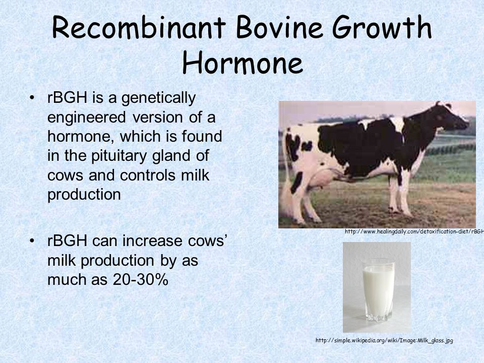 Recombinant Bovine Growth Hormone rBGH is a genetically engineered version of a hormone, which is found in the pituitary gland of cows and controls milk production rBGH can increase cows’ milk production by as much as 20-30%