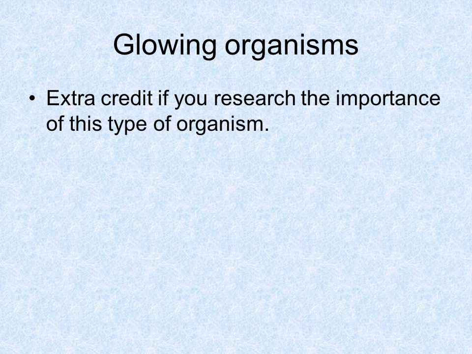 Glowing organisms Extra credit if you research the importance of this type of organism.