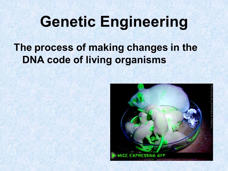 Genetic Engineering The process of making changes in the DNA code of living organisms