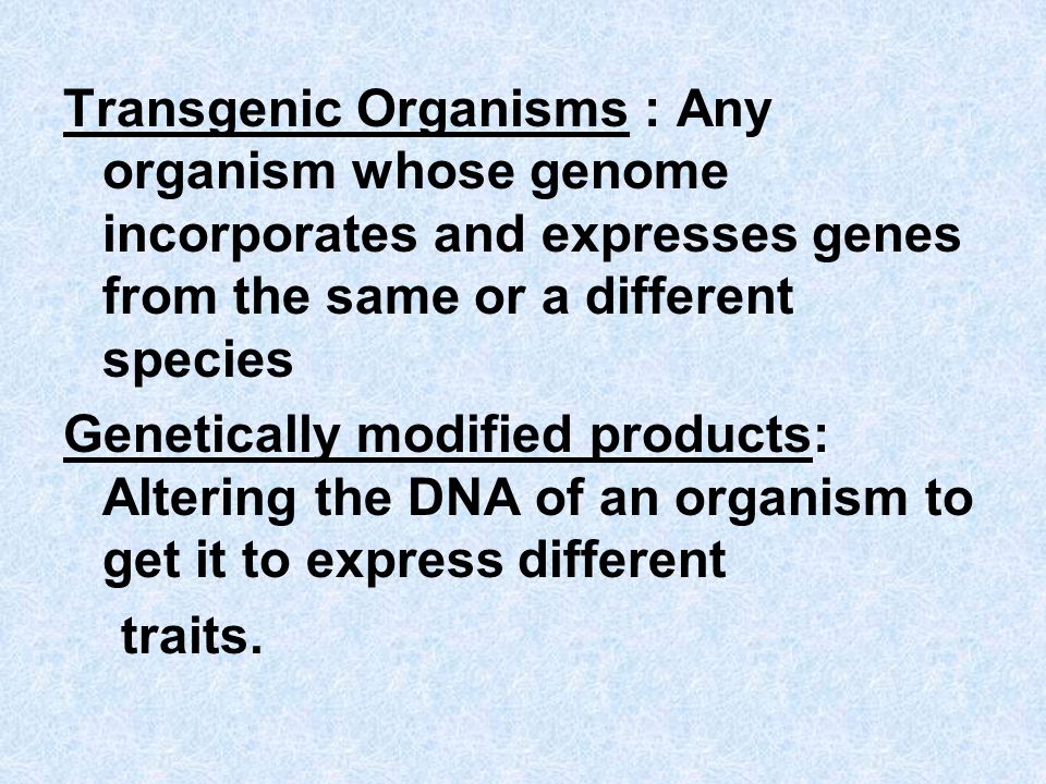 Transgenic Organisms : Any organism whose genome incorporates and expresses genes from the same or a different species Genetically modified products: Altering the DNA of an organism to get it to express different traits.
