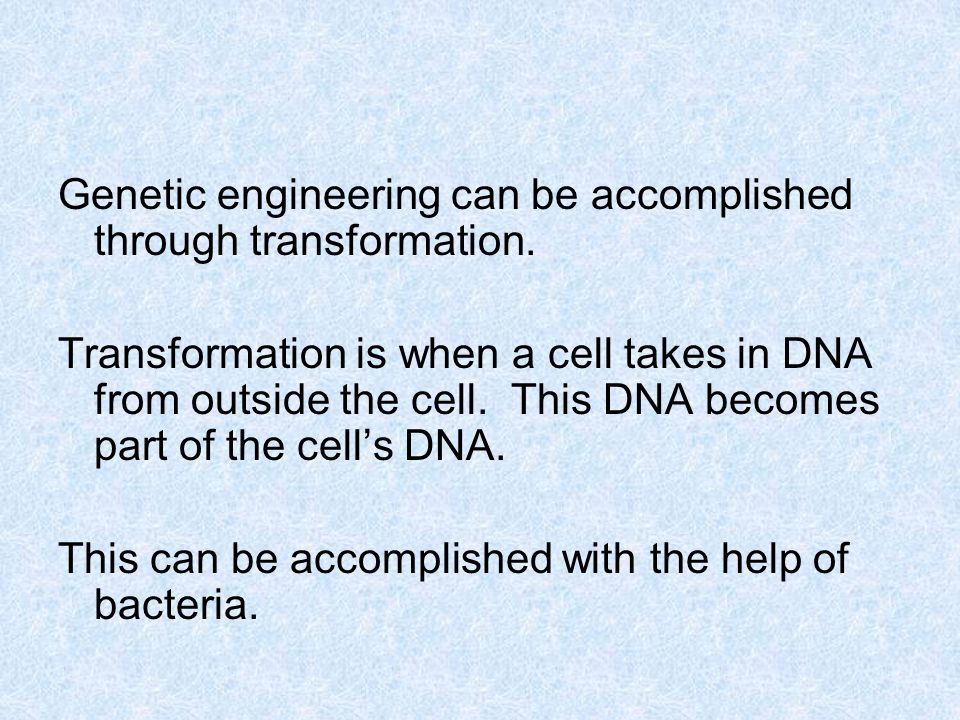 Genetic engineering can be accomplished through transformation.