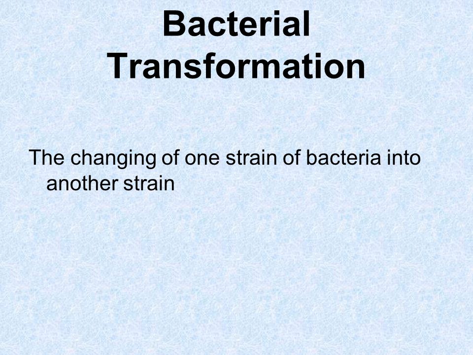 Bacterial Transformation The changing of one strain of bacteria into another strain