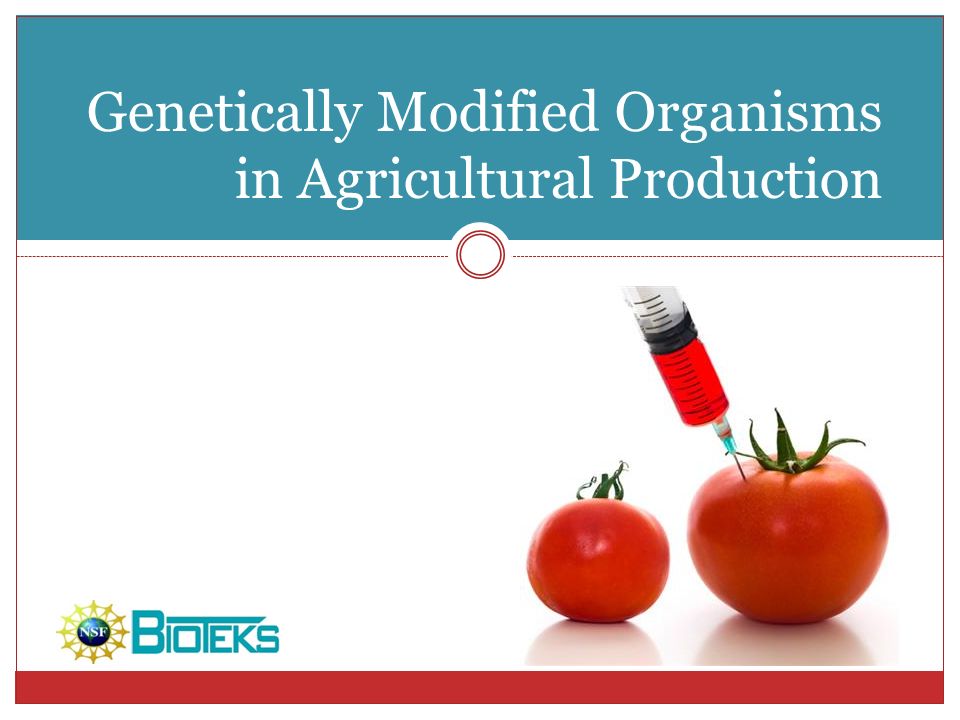 Genetically Modified Organisms in Agricultural Production