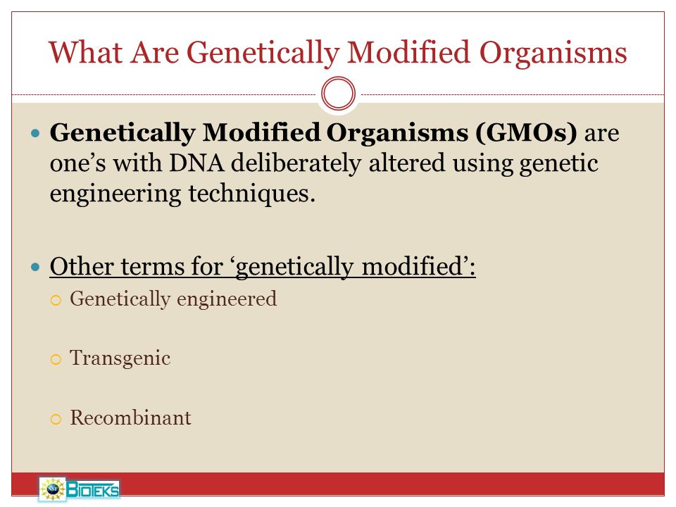 What Are Genetically Modified Organisms Genetically Modified Organisms (GMOs) are one’s with DNA deliberately altered using genetic engineering techniques.