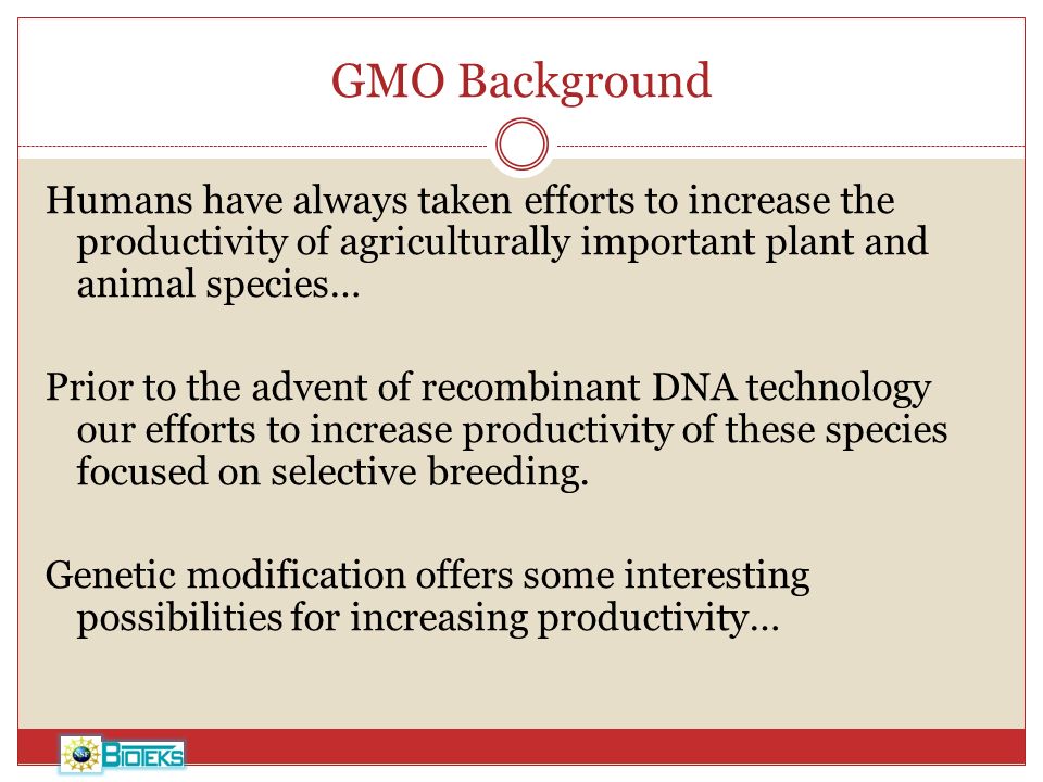 GMO Background Humans have always taken efforts to increase the productivity of agriculturally important plant and animal species… Prior to the advent of recombinant DNA technology our efforts to increase productivity of these species focused on selective breeding.