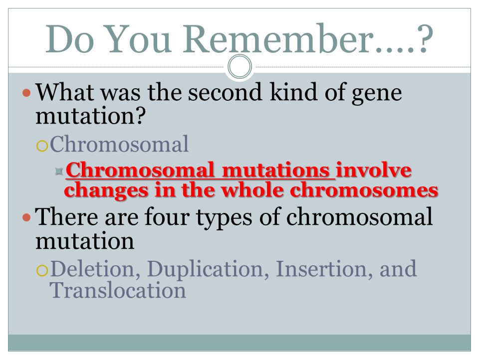 Unit 4 Genetics Part 2 Dna Rna Protein Synthesis Ppt Download What Was The Second Kind Of Gene Mutation