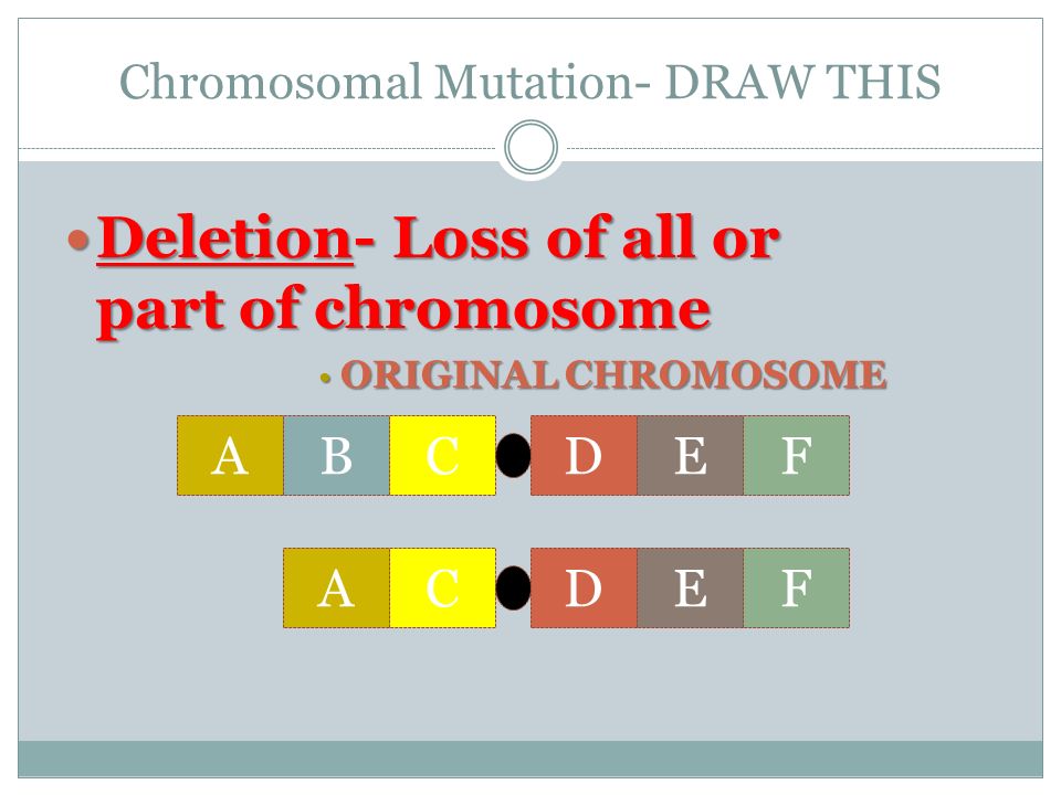 Unit 4 Genetics Part 2 Dna Rna Protein Synthesis Ppt Download 39 Chromosomal Mutation Draw This Deletion Loss Of All Or Part Chromosome Original