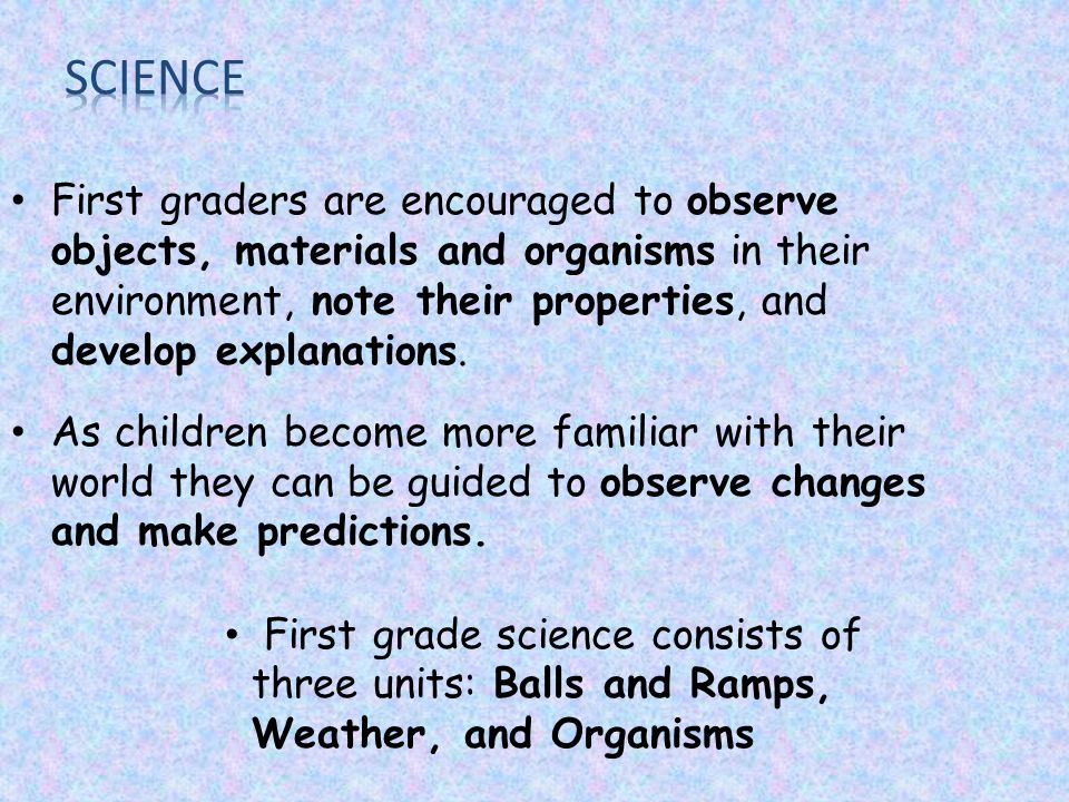 First graders are encouraged to observe objects, materials and organisms in their environment, note their properties, and develop explanations.