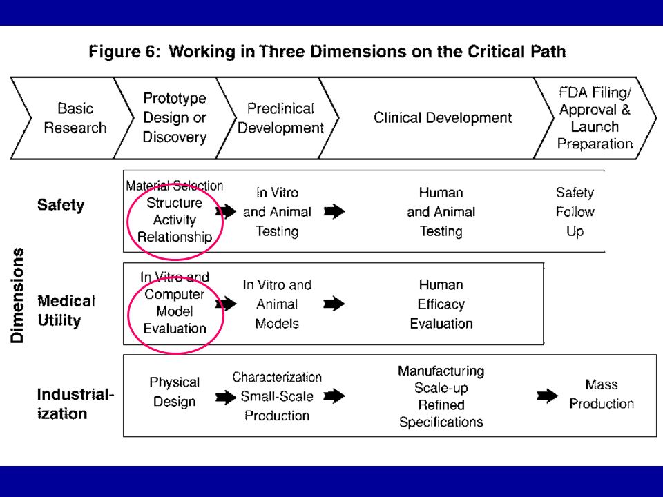 Fda oncology drug candidate human equivalent