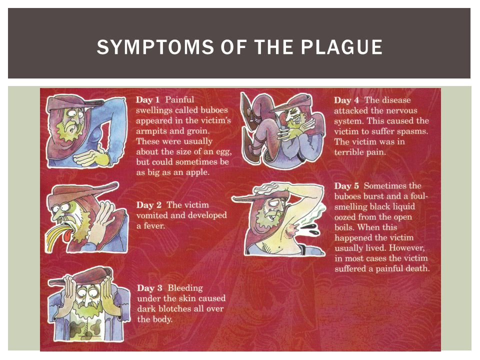 SYMPTOMS OF THE PLAGUE