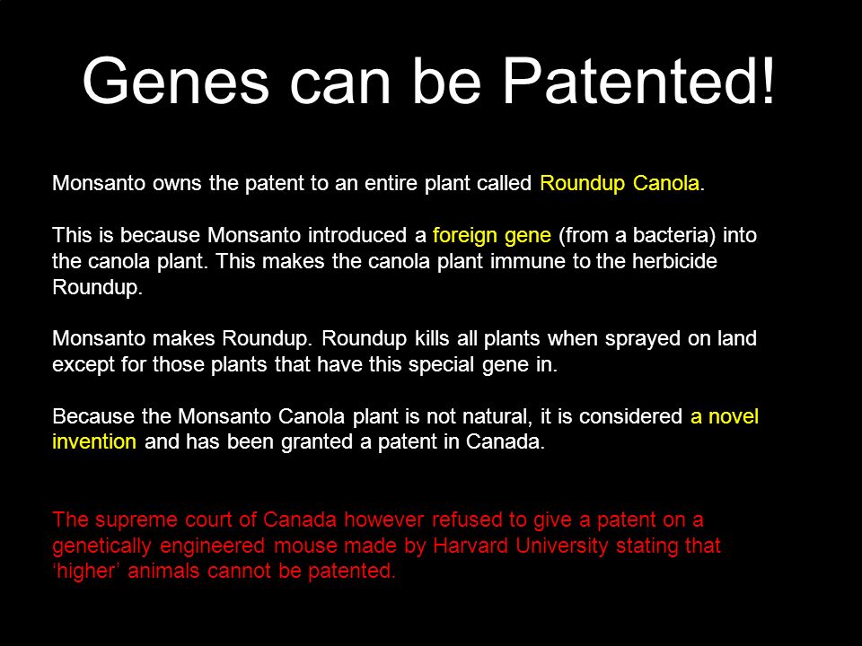 Genes can be Patented. Monsanto owns the patent to an entire plant called Roundup Canola.