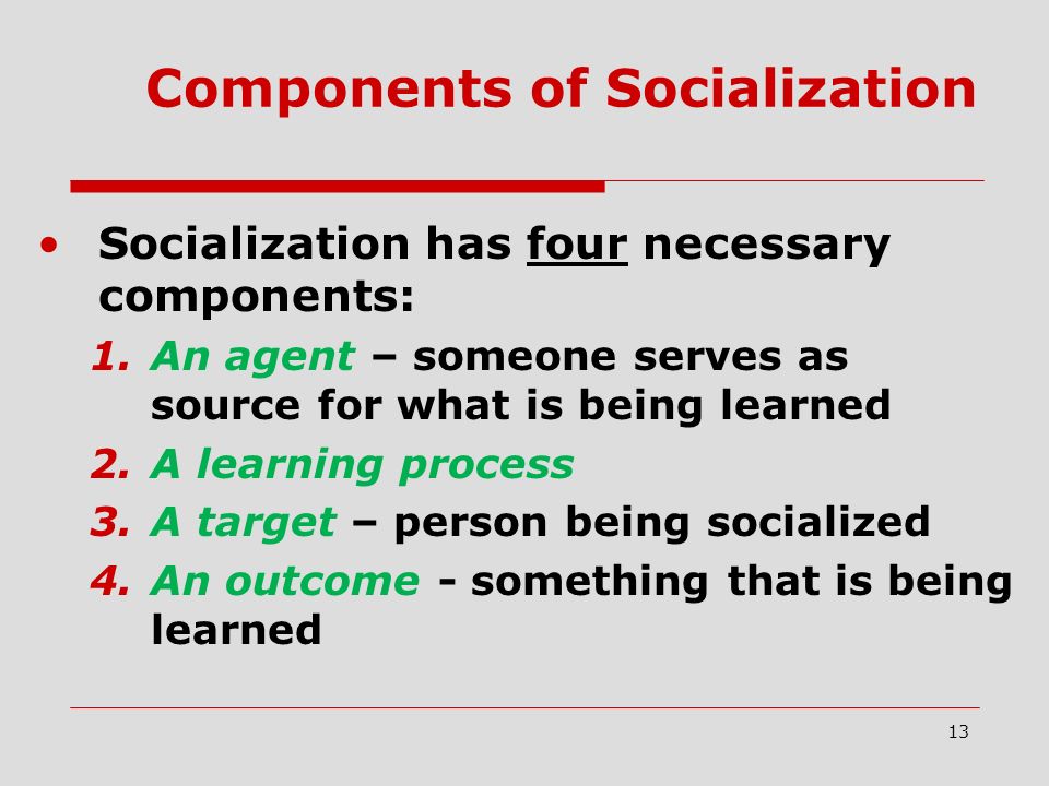 13 Components of Socialization Socialization has four necessary components: 1.An agent – someone serves as source for what is being learned 2.A learning process 3.A target – person being socialized 4.An outcome - something that is being learned