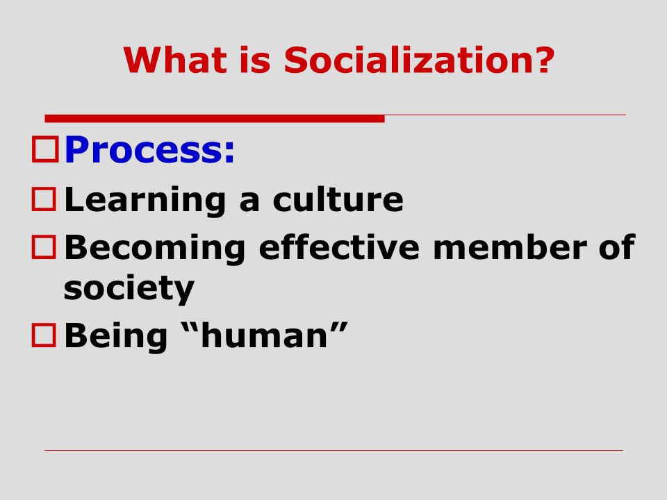 What is Socialization.