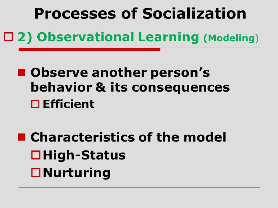 Processes of Socialization  2) Observational Learning (Modeling) Observe another person’s behavior & its consequences  Efficient Characteristics of the model  High-Status  Nurturing