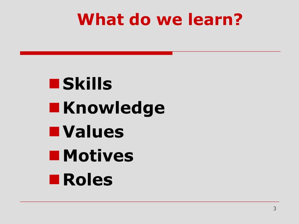 What do we learn Skills Knowledge Values Motives Roles 3