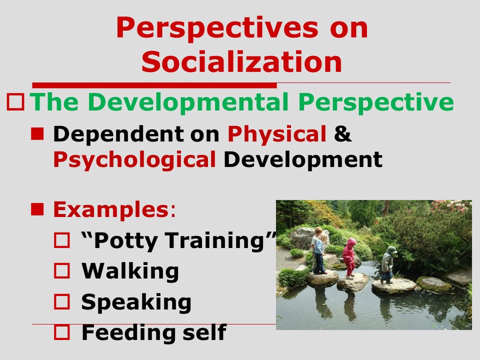 Perspectives on Socialization  The Developmental Perspective Dependent on Physical & Psychological Development Examples:  Potty Training  Walking  Speaking  Feeding self