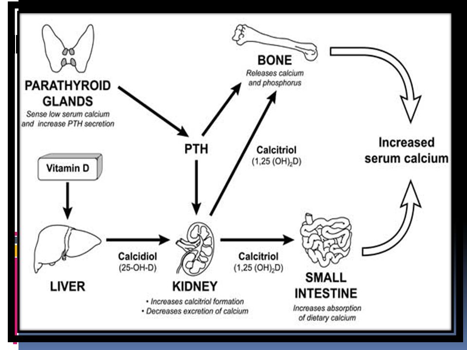 where to buy generic seroquel no prescription where to buy generic seroquel no prescription