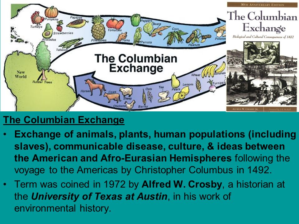 Columbian exchange essay topics