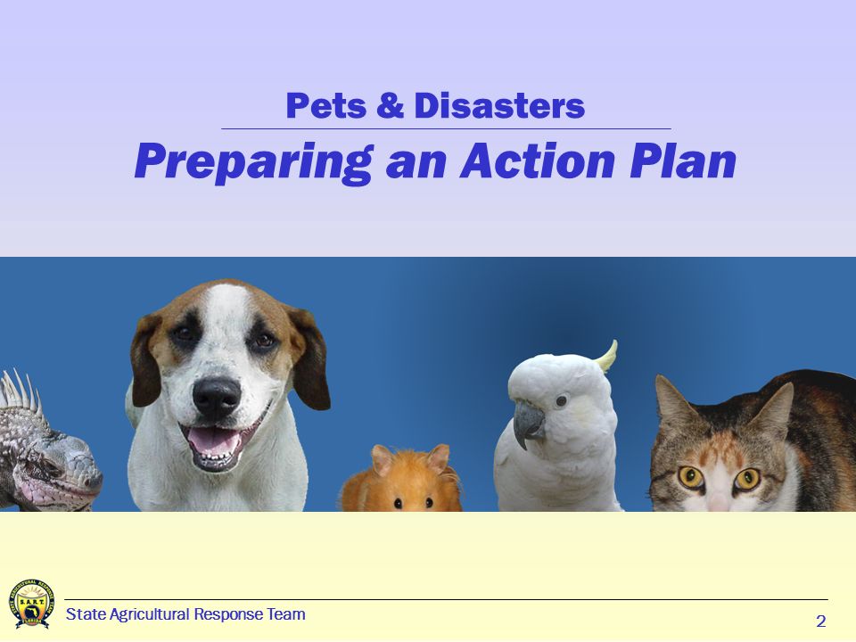 2 Pets & Disasters Preparing an Action Plan State Agricultural Response Team 2