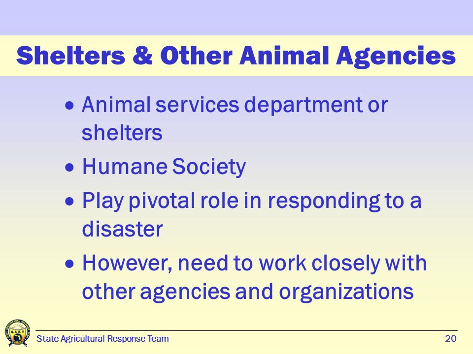 20 State Agricultural Response Team20 Shelters & Other Animal Agencies  Animal services department or shelters  Humane Society  Play pivotal role in responding to a disaster  However, need to work closely with other agencies and organizations