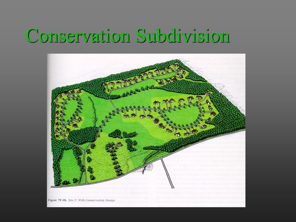 Conservation Subdivision