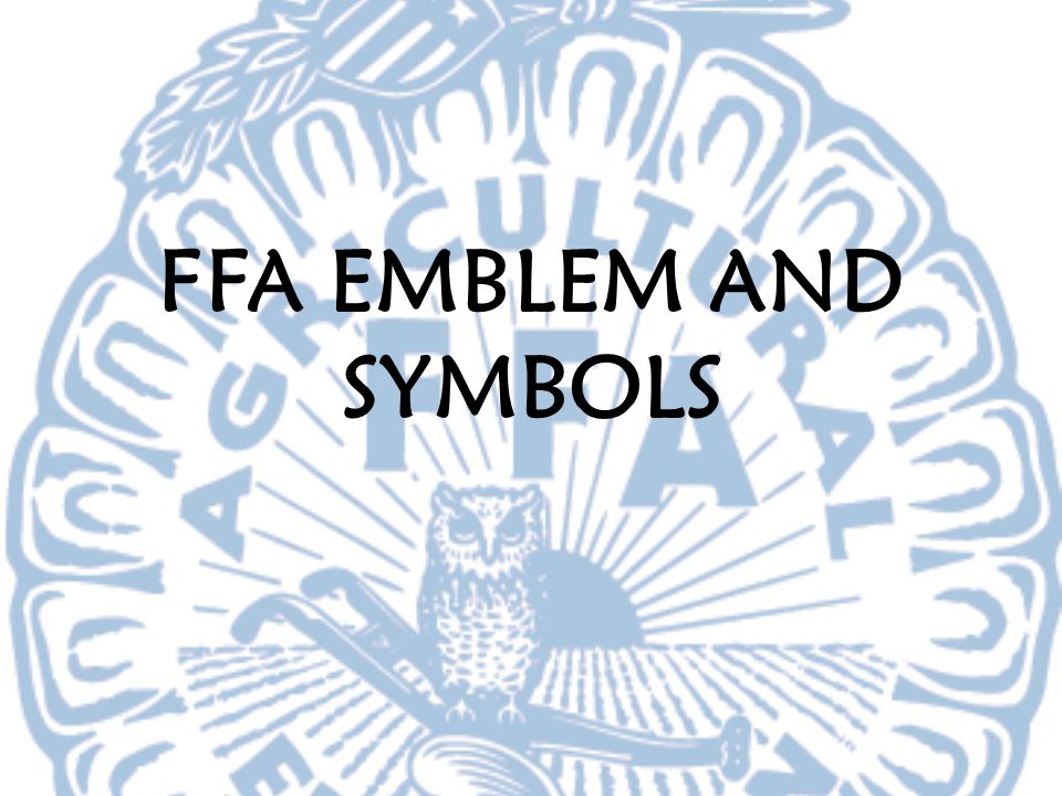 Worksheet Ffa Emblem Worksheet warm up word sort directions write the following words in your ffa emblem and symbols