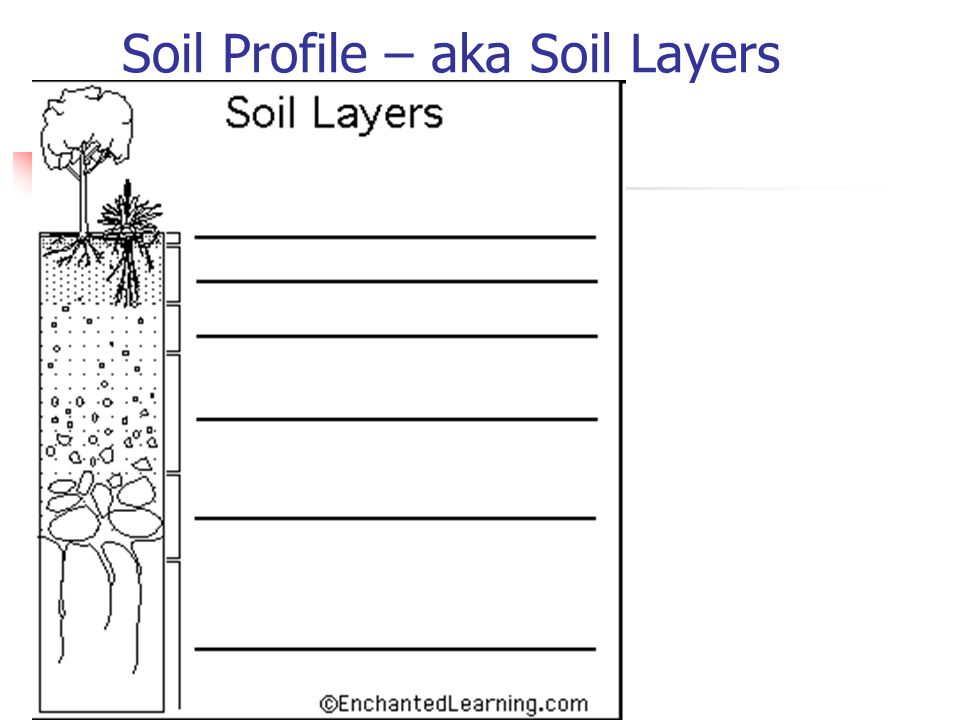 Soil, Roots and Water Balance of the Plant
