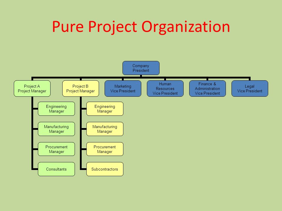 pure project structure the pure project organization Project management structures (cont’d) organizing projects: matrix structure hybrid organizational structure (matrix) is overlaid on the normal functional structure rather than being a stand alone organization, like the pure project, the matrix project is not separated from the parent organization two chains of command (functional and. pure project structure the pure project organization Project management structures (cont’d) organizing projects: matrix structure hybrid organizational structure (matrix) is overlaid on the normal functional structure rather than being a stand alone organization, like the pure project, the matrix project is not separated from the parent organization two chains of command (functional and.