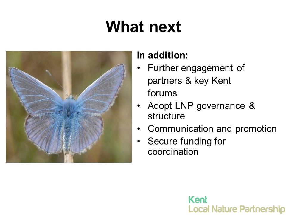 What next In addition: Further engagement of partners & key Kent forums Adopt LNP governance & structure Communication and promotion Secure funding for coordination