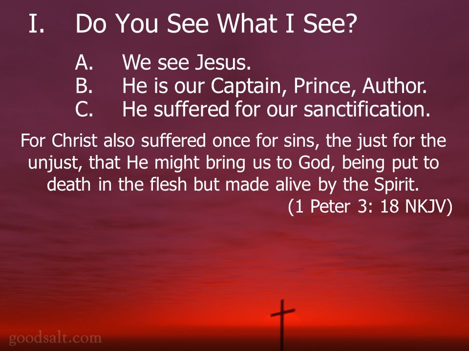 I.Do You See What I See. A.We see Jesus. B.He is our Captain, Prince, Author.