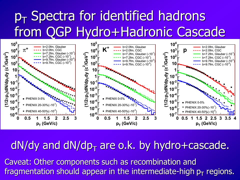 p T Spectra for identified hadrons from QGP Hydro+Hadronic Cascade Caveat: Other components such as recombination and fragmentation should appear in the intermediate-high p T regions.