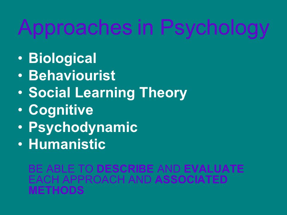 What Sort of Psychologist Are You The Different Approaches in Psychology