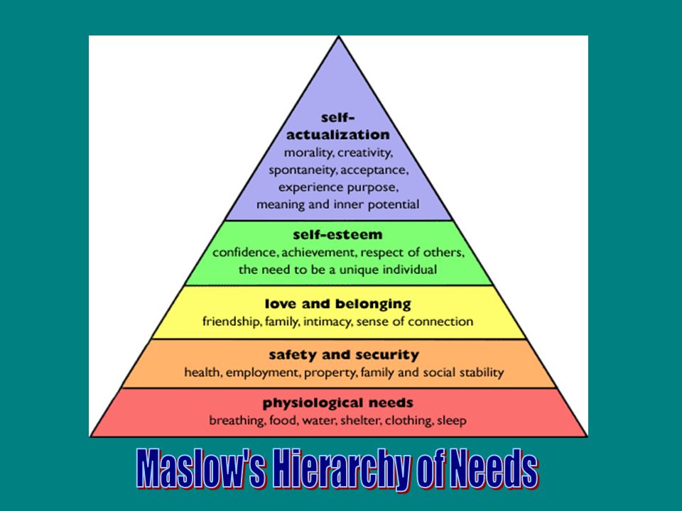 Abraham Maslow Studied motivation Proposed the hierarchy of needs People strive for self-actualisation Are you self-actualised.