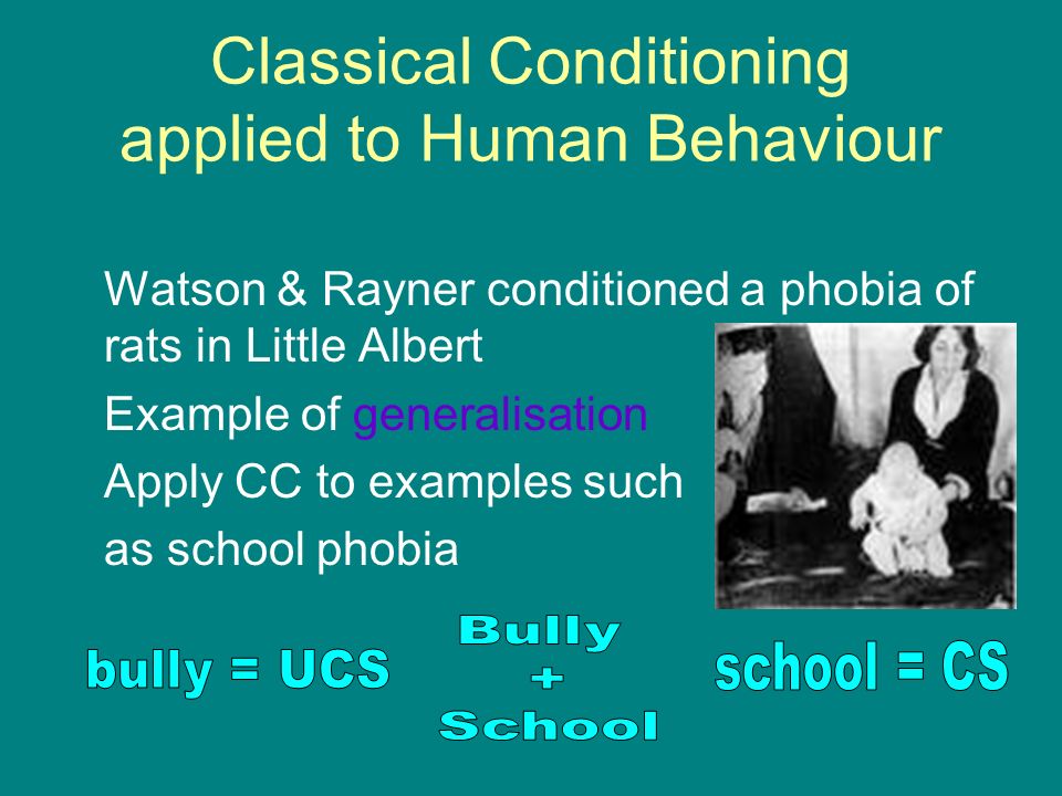 Know the Classical Conditioning diagram 1 Food (UCS) elicits Salivation (UCR) 2Food (UCS) + Bell (CS) elicits Salivation (UCR) 3Bell (CS) elicits Salivation (CR)