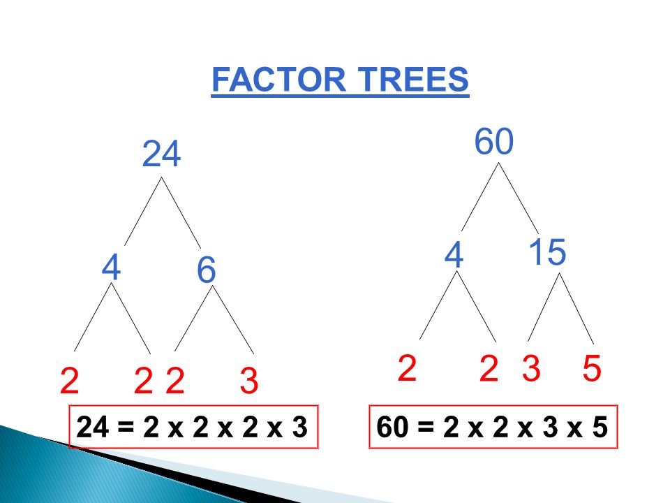 Draw factor trees for: 24 and 60