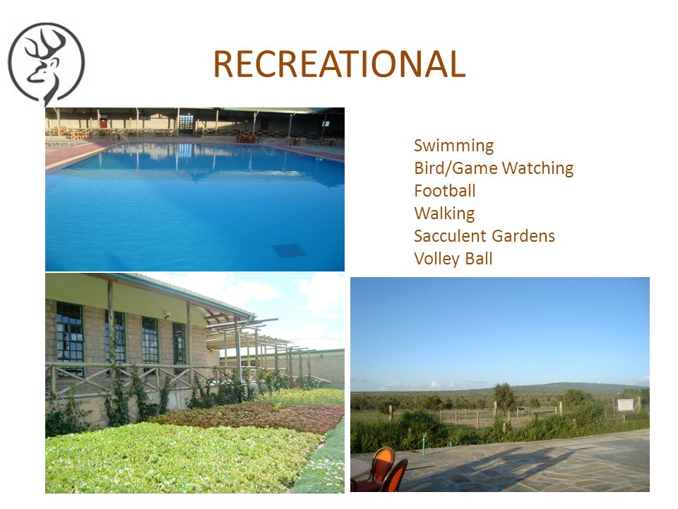 RECREATIONAL Swimming Bird/Game Watching Football Walking Sacculent Gardens Volley Ball