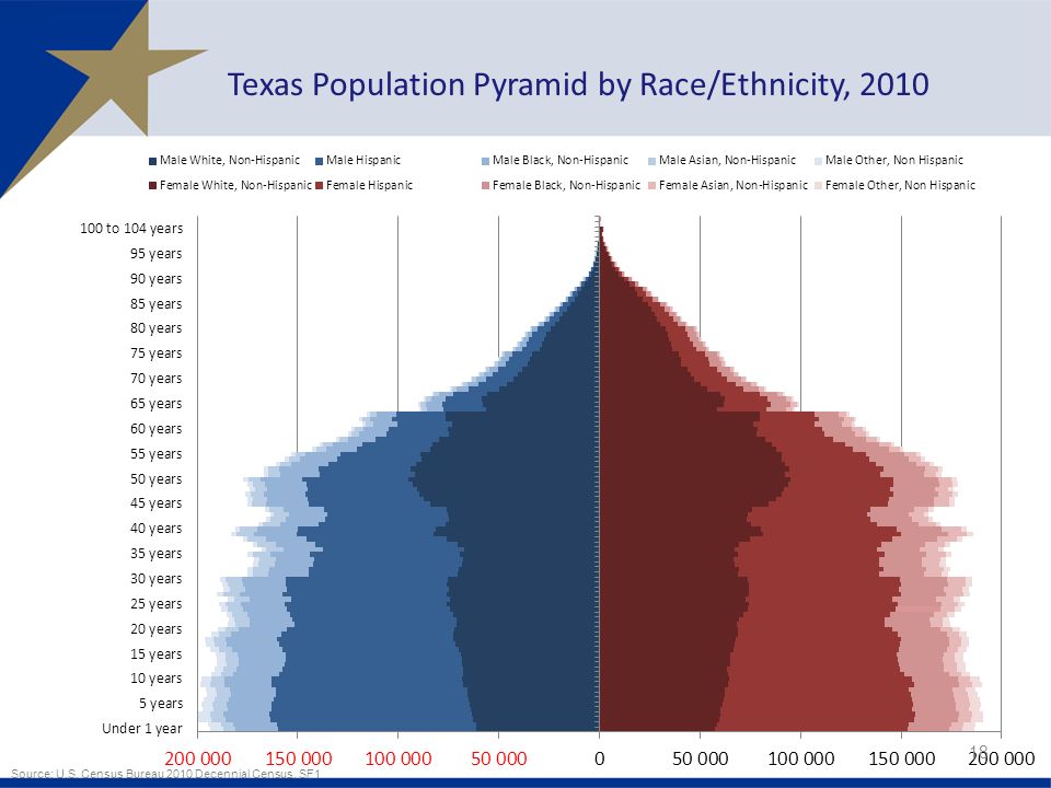 18 Texas Population Pyramid by Race/Ethnicity, 2010 Source: U.S.
