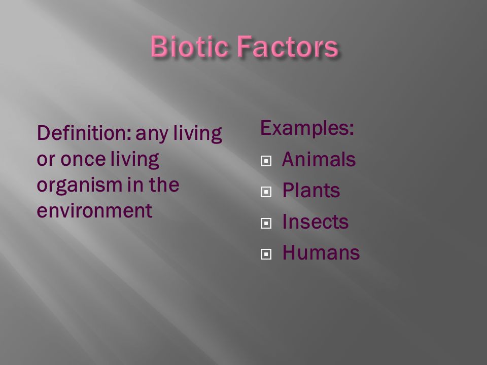 Definition: any living or once living organism in the environment Examples:  Animals  Plants  Insects  Humans
