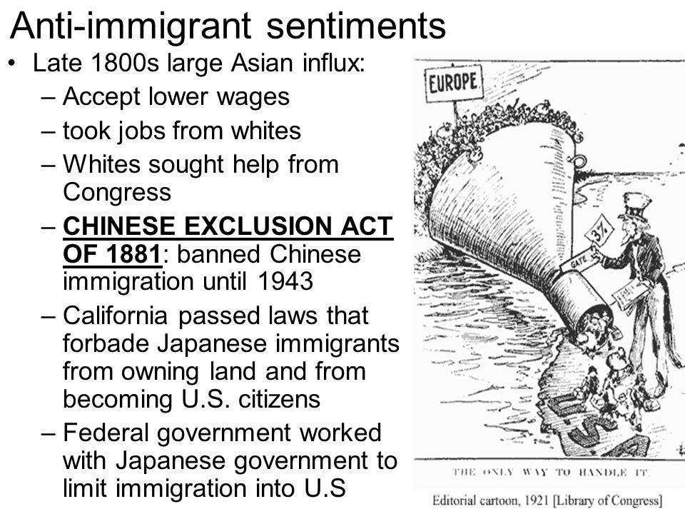 american immigrants struggle with assimilation American culture surely you can't mean american culture, because african americans are responsible for much of american culture – and much of america period so what you're referring to is the white status quo, or historically, privileged america. american immigrants struggle with assimilation American culture surely you can't mean american culture, because african americans are responsible for much of american culture – and much of america period so what you're referring to is the white status quo, or historically, privileged america.