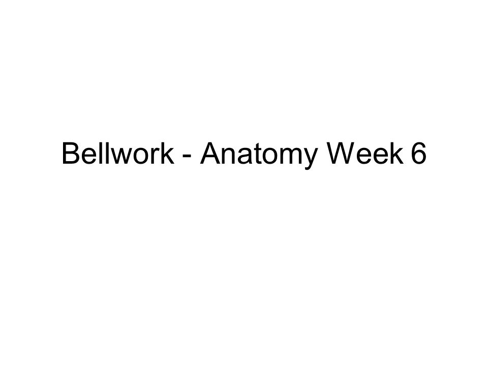 Bellwork - Anatomy Week 6