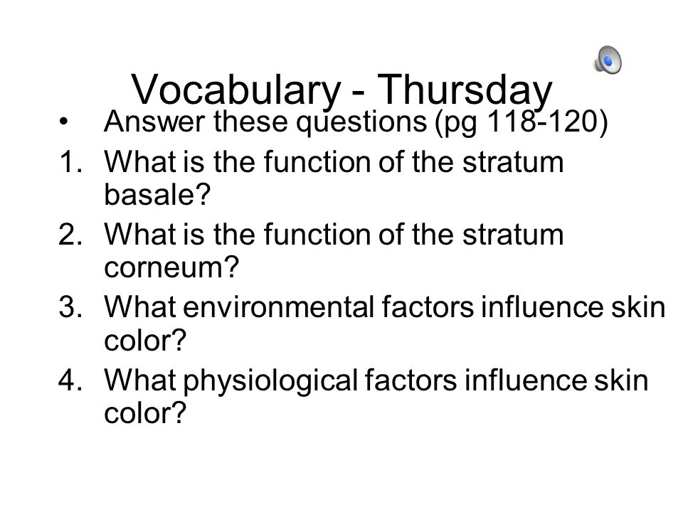 Vocabulary - Thursday Answer these questions (pg ) 1.What is the function of the stratum basale.