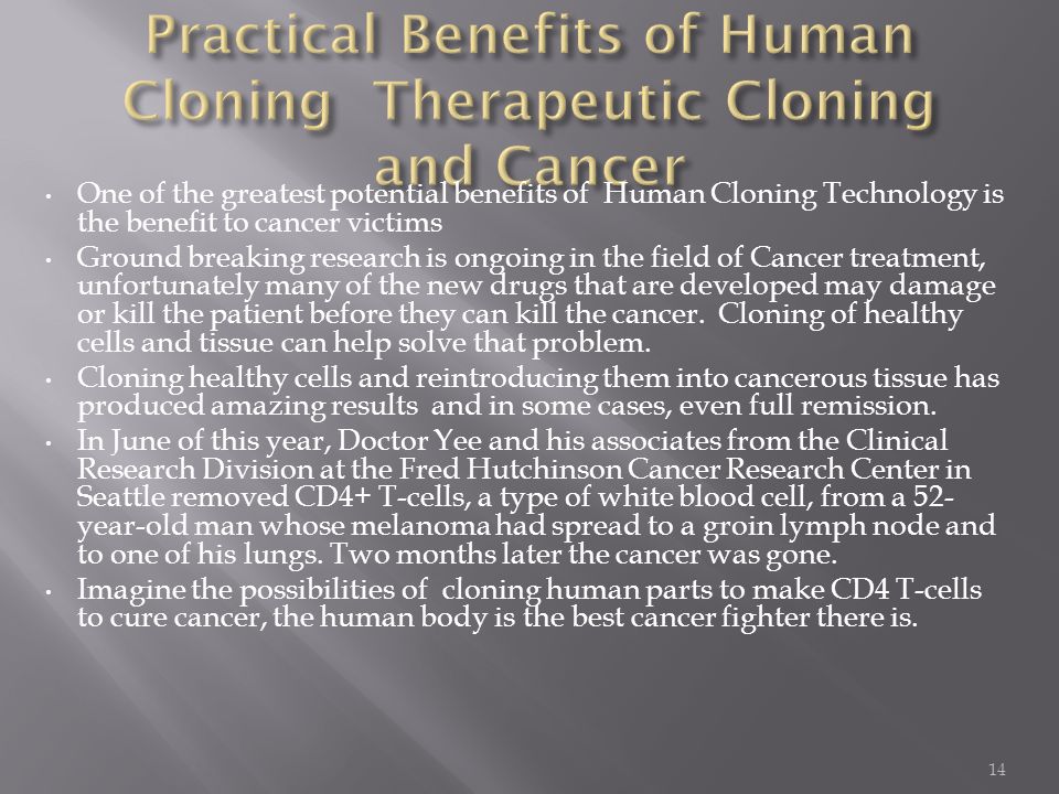 the benifits of cloning essay the benifits of cloning essay