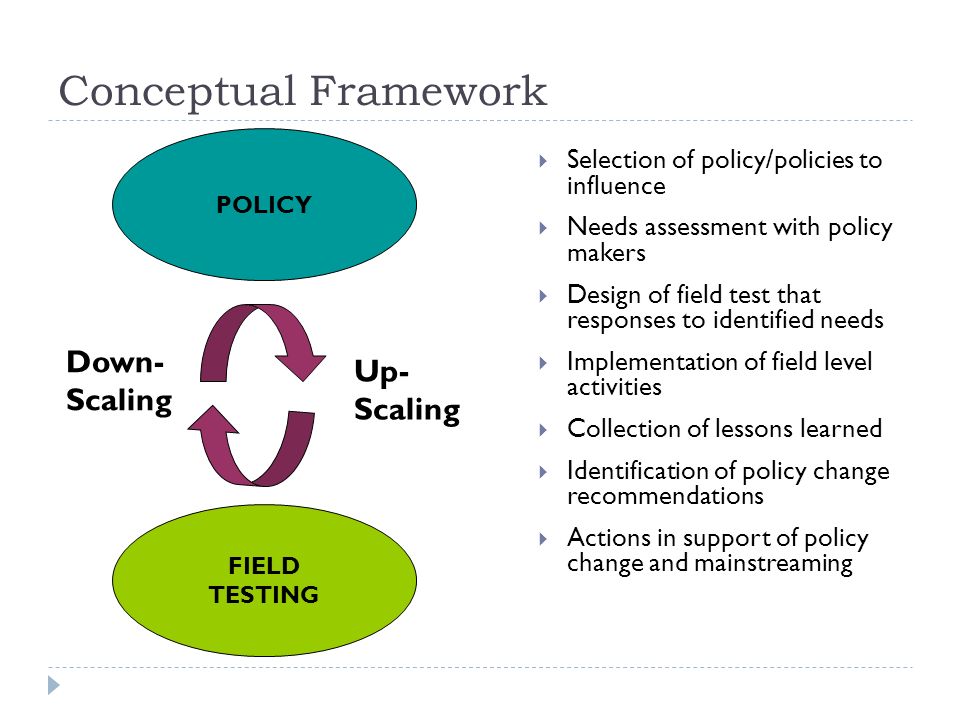 Conceptual Framework  Selection of policy/policies to influence  Needs assessment with policy makers  Design of field test that responses to identified needs  Implementation of field level activities  Collection of lessons learned  Identification of policy change recommendations  Actions in support of policy change and mainstreaming POLICY FIELD TESTING Up- Scaling Down- Scaling
